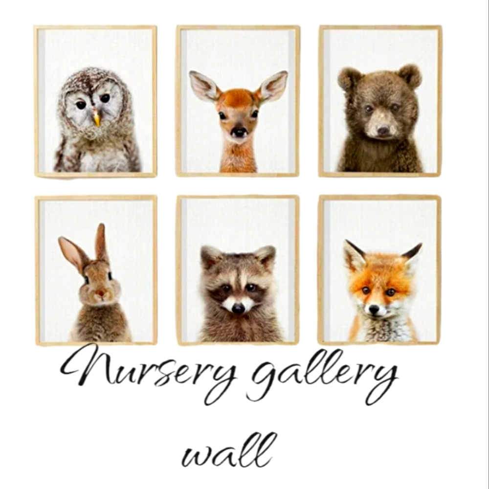 Baby Animal Canvas prints 12×16